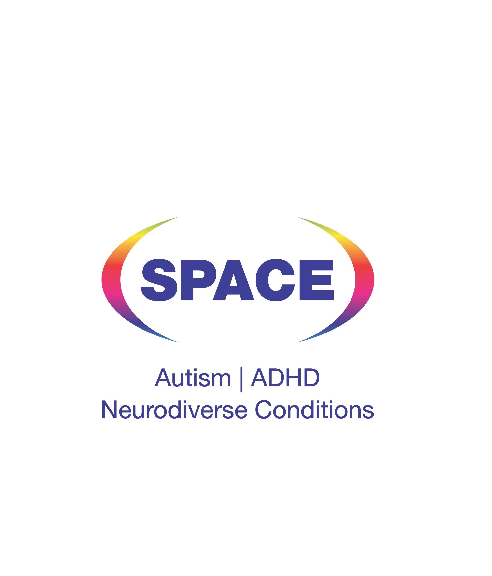 Understanding And Supporting Executive Functioning Difficulties Space